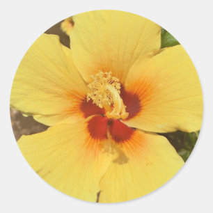 Gele hibiscus sticker