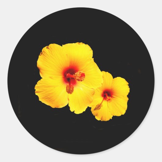 Gele Hibiscus Stickers (Voorkant)