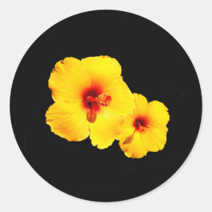 Gele Hibiscus Stickers