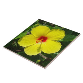 Gele Hibiscus-tegel Tegeltje