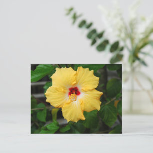 Gele Hibiscusbloem Briefkaart