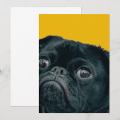 gele hond bedankkaart (Voorkant / Achterkant)