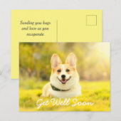 Gele hond en aanmoediging beterschap briefkaart (Voorkant / Achterkant)