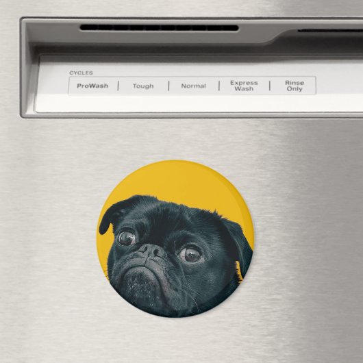 gele hond magneet (Insitu (Vaatwasser))