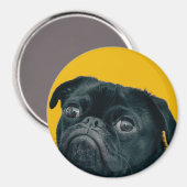 gele hond magneet (Voorkant / Achterkant)