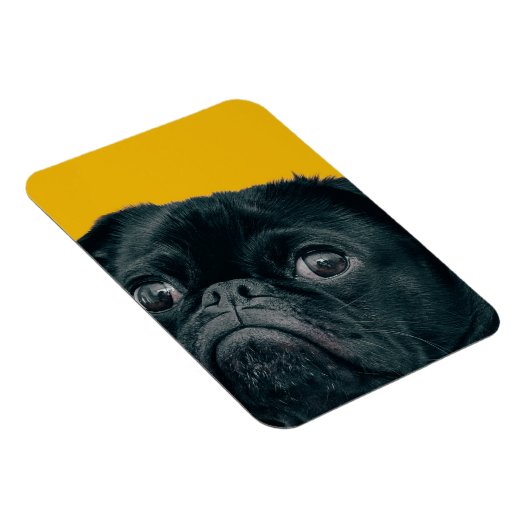 gele hond magneet (Rechterzijde)