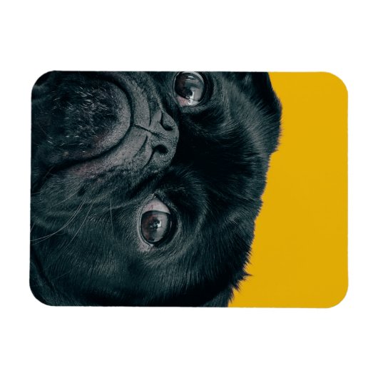 gele hond magneet (Horizontaal)