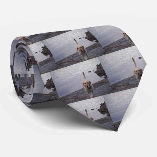 Gele hond op dock gele labrador stropdas (Opgerold)