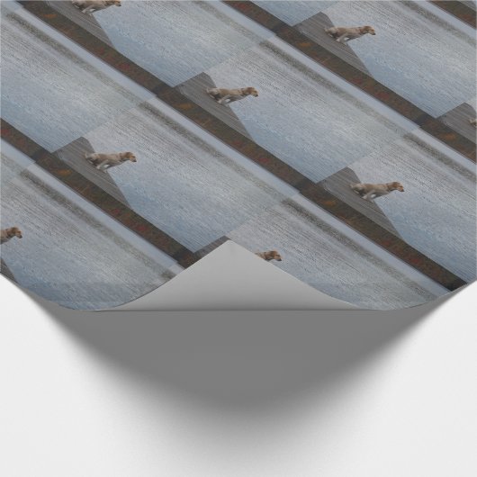 Gele hond op het dok cadeaupapier (Hoek)