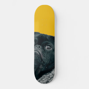 gele hond persoonlijk skateboard