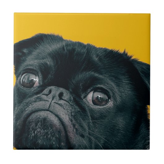 gele hond tegeltje (Voorkant)