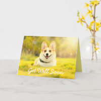 Gele honden en aanmoedigingen krijgen een goede Ka