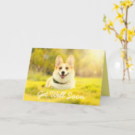 Gele honden en aanmoedigingen krijgen een goede Ka Kaart