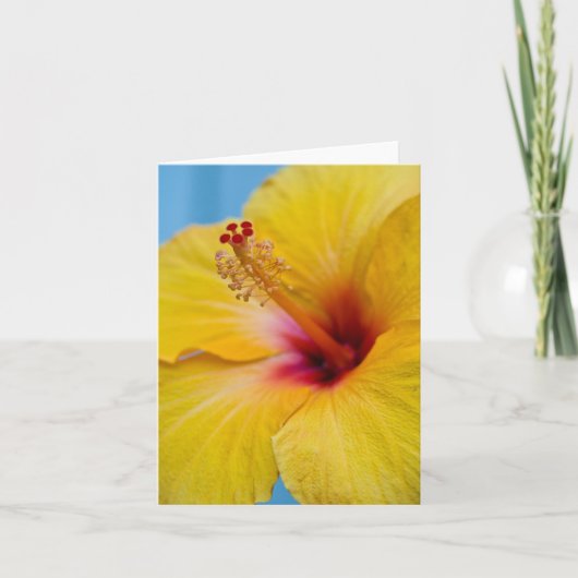 gele Hybiscus Bloem Notecard Kaart (Voorkant)