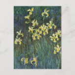 Gele Iangen van Claude Monet,  Kunst Briefkaart<br><div class="desc">Gele Irises (1914-1917) van Claude Monet is een  impressionistisch schilderij met een fijne kunstschilderij met bloeiende gele irisbloemen in een tuin. Over de kunstenaar: Claude Monet (1840-1926) was een oprichter van de Franse impressionistische schilderbeweging,  waarbij de meeste schilderijen "en plein air" (in de open lucht) zijn,  als impressionistische landschappen.</div>