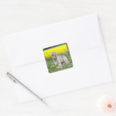 gele Ierse wolfsbloemen Vierkante Sticker (Envelop)