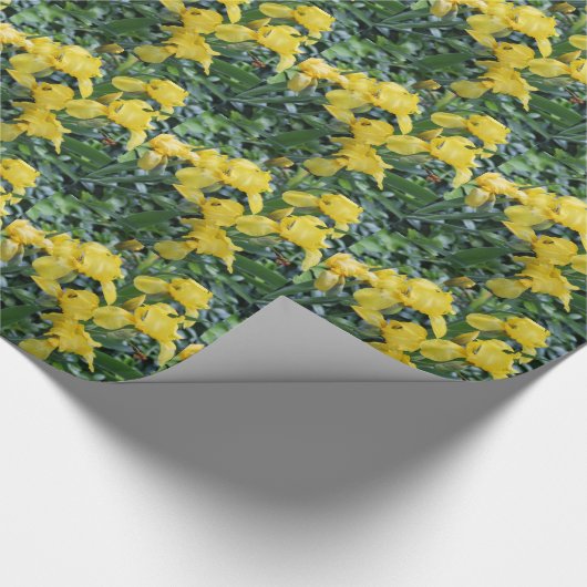  gele IETEN Cadeaupapier (Hoek)