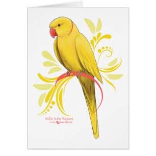 Gele Indische ringnek Parrot