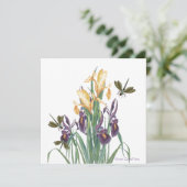Gele Iris (Staand voorkant)