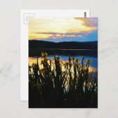 Gele Iris aan de kust van het Arrowidenmeer Briefkaart (Voorkant / Achterkant)
