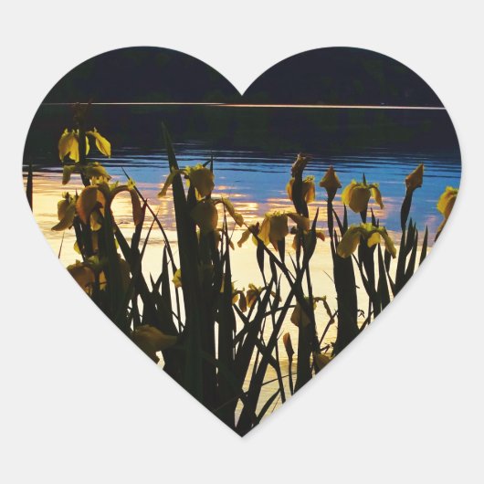 Gele Iris aan de kust van het Arrowidenmeer Hart Sticker (Voorkant)