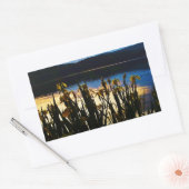 Gele Iris aan de kust van het Arrowidenmeer Rechthoekige Sticker (Envelop)