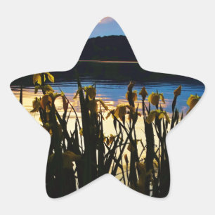 Gele Iris aan de kust van het Arrowidenmeer Ster Sticker