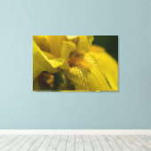 Gele Iris Beard Canvas Afdruk (Insitu (Houten vloer))