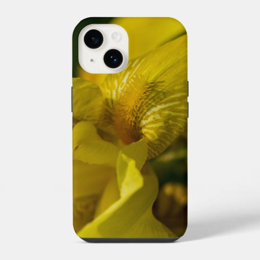 Gele Iris Beard iPhone Case Hoesje (Achterkant)