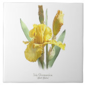 Gele Iris Bloem Botanische Stijl Kunst Tegeltje (Voorkant)