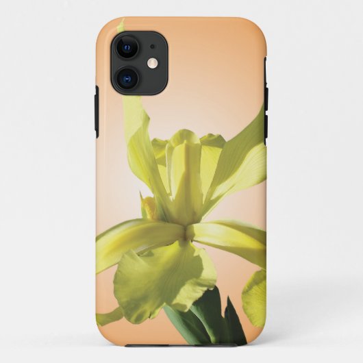 gele iris bloem op een gele achtergrond. Case-Mate iPhone case (Achterkant)
