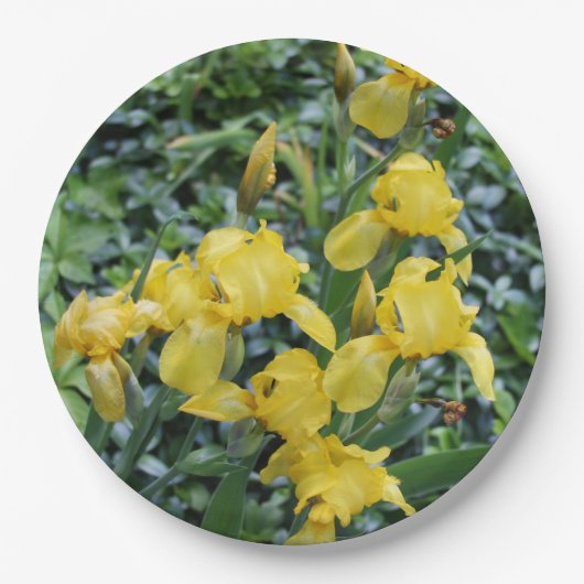 Gele Iris bloementuin Papieren Bordje (Voorkant)