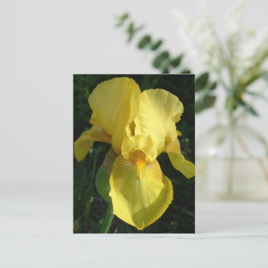 Gele Iris Briefkaart (Staand voorkant)