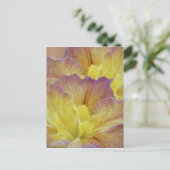 Gele iris en betekenis briefkaart (Staand voorkant)