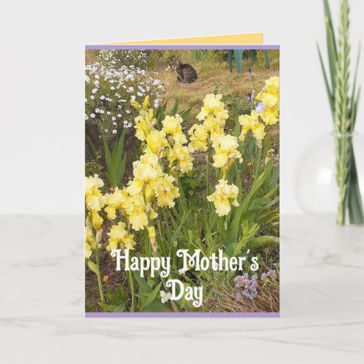 Gele Iris en Tabby Kat Bloemen Moederdag Kaart (Voorkant)