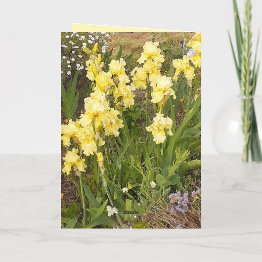 Gele Iris en Tabby Kattenbloem Bloemen Kaart (Achterkant)