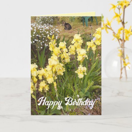 Gele Iris en Tabby Kattenbloem Bloemen Kaart (Gele Bloem)