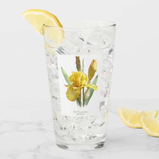 Gele Iris Flower Botanical Art Glas (Voorkant ijs)