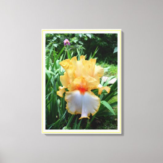 Gele Iris Flower Garden Canvas afdrukken (Voorkant)