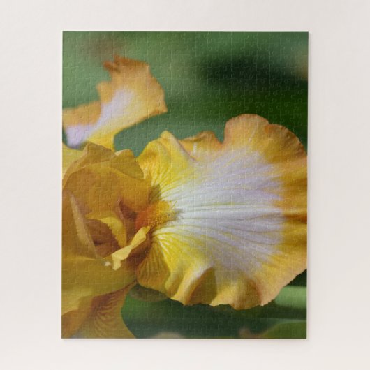 Gele Iris Flower Legpuzzel (Verticaal)