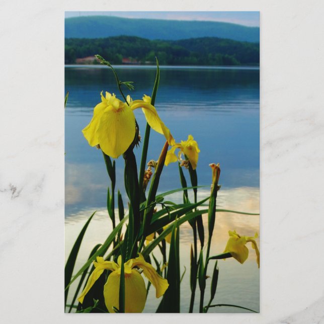 Gele Iris op Lake Shore (Voorkant)