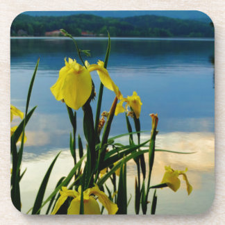 Gele Iris op Lake Shore Bier Onderzetter