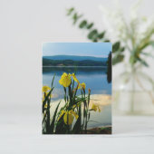 Gele Iris op Lake Shore Briefkaart (Staand voorkant)