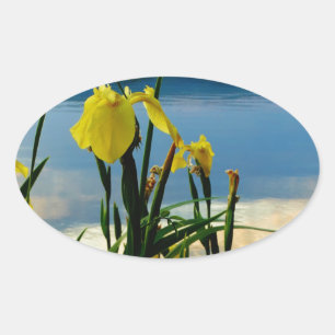 Gele Iris op Lake Shore Ovale Sticker