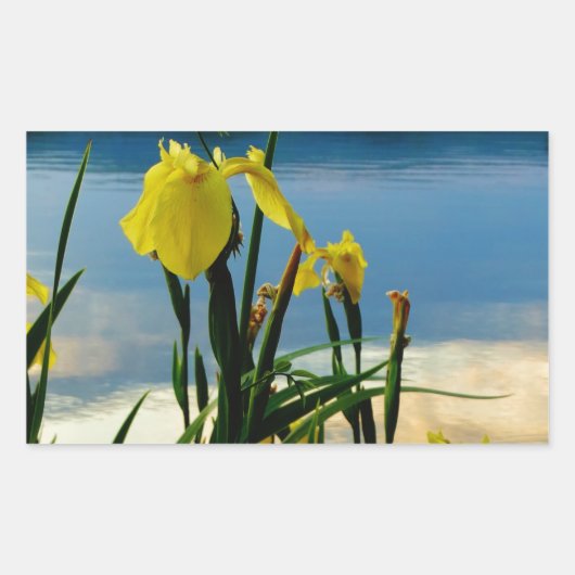 Gele Iris op Lake Shore Rechthoekige Sticker (Voorkant)