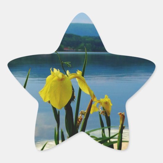 Gele Iris op Lake Shore Ster Sticker (Voorkant)