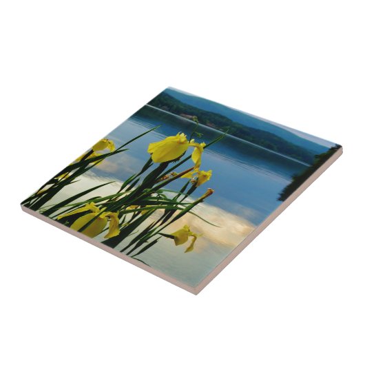 Gele Iris op Lake Shore Tegeltje (Zijkant)