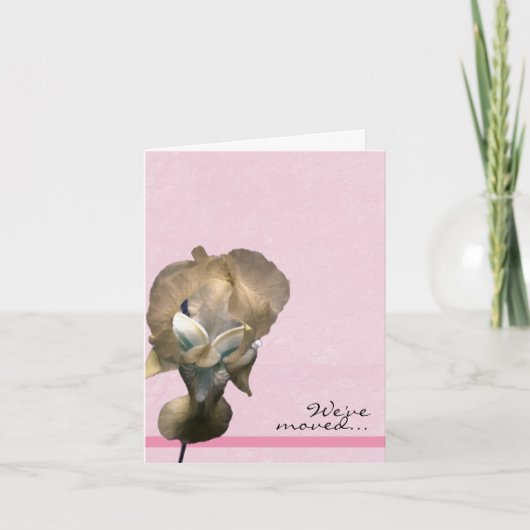 Gele Iris We hebben de aankondiging verplaatst (Voorkant)