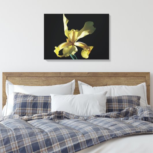 gele irisbloem op zwarte achtergrond . canvas afdruk (Insitu (Slaapkamer))