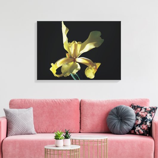 gele irisbloem op zwarte achtergrond . canvas afdruk (Insitu (Woonkamer))